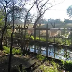 Cabana Queltehue