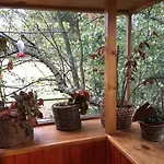 Cabana Queltehue
