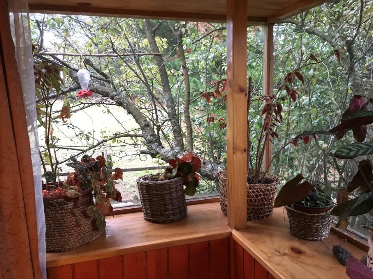 Cabana Queltehue * Castro